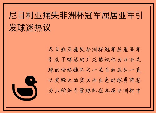 尼日利亚痛失非洲杯冠军屈居亚军引发球迷热议