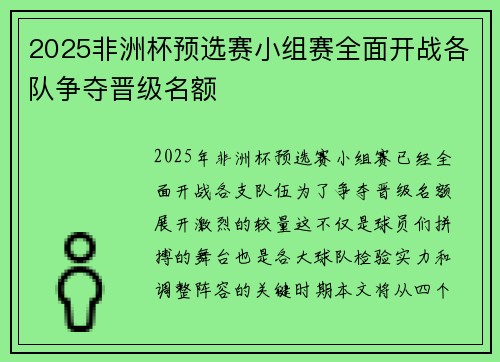 2025非洲杯预选赛小组赛全面开战各队争夺晋级名额